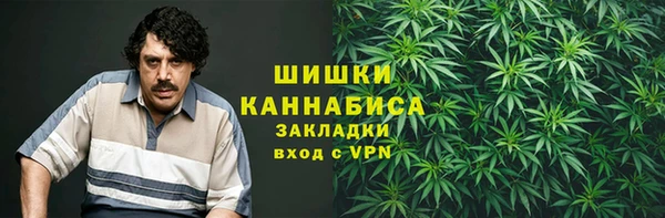 ГАЛЛЮЦИНОГЕННЫЕ ГРИБЫ Бронницы